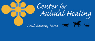 Center for Animal Healing